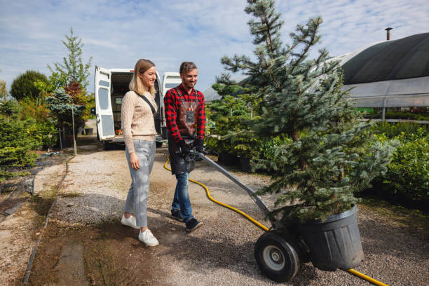 How Our Tree Care Process Works  in  Hastings On Hudson, NY